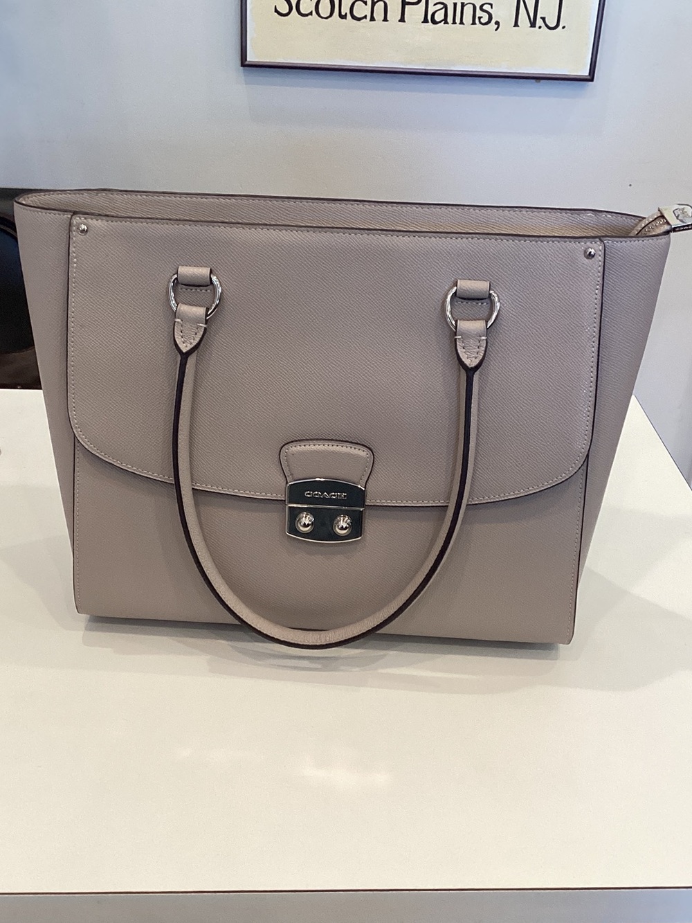 Coach Neutral Taupe Leather Top-Handle Tote
